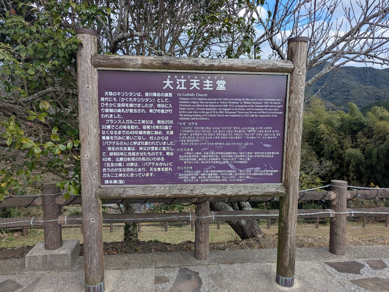 f:id:sansevieriak:20260104135007j:image f:id:sansevieriak:20260104135007j:image