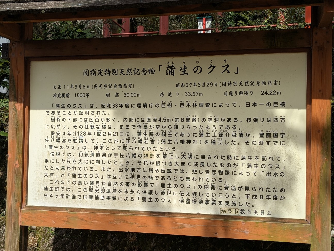 f:id:sansevieriak:20260308221011j:image f:id:sansevieriak:20260308221011j:image