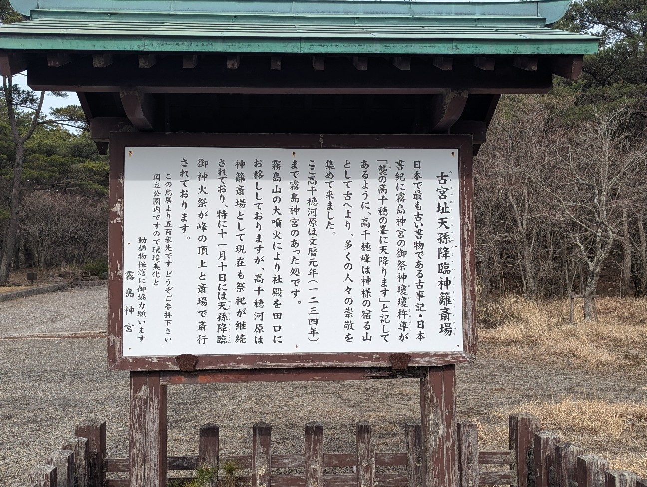 f:id:sansevieriak:20260308221124j:image f:id:sansevieriak:20260308221124j:image