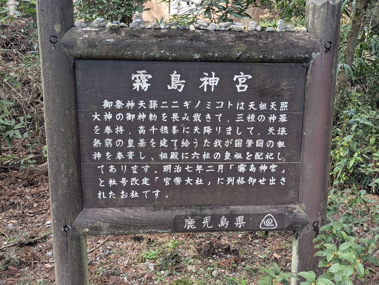 f:id:sansevieriak:20260308221218j:image f:id:sansevieriak:20260308221218j:image