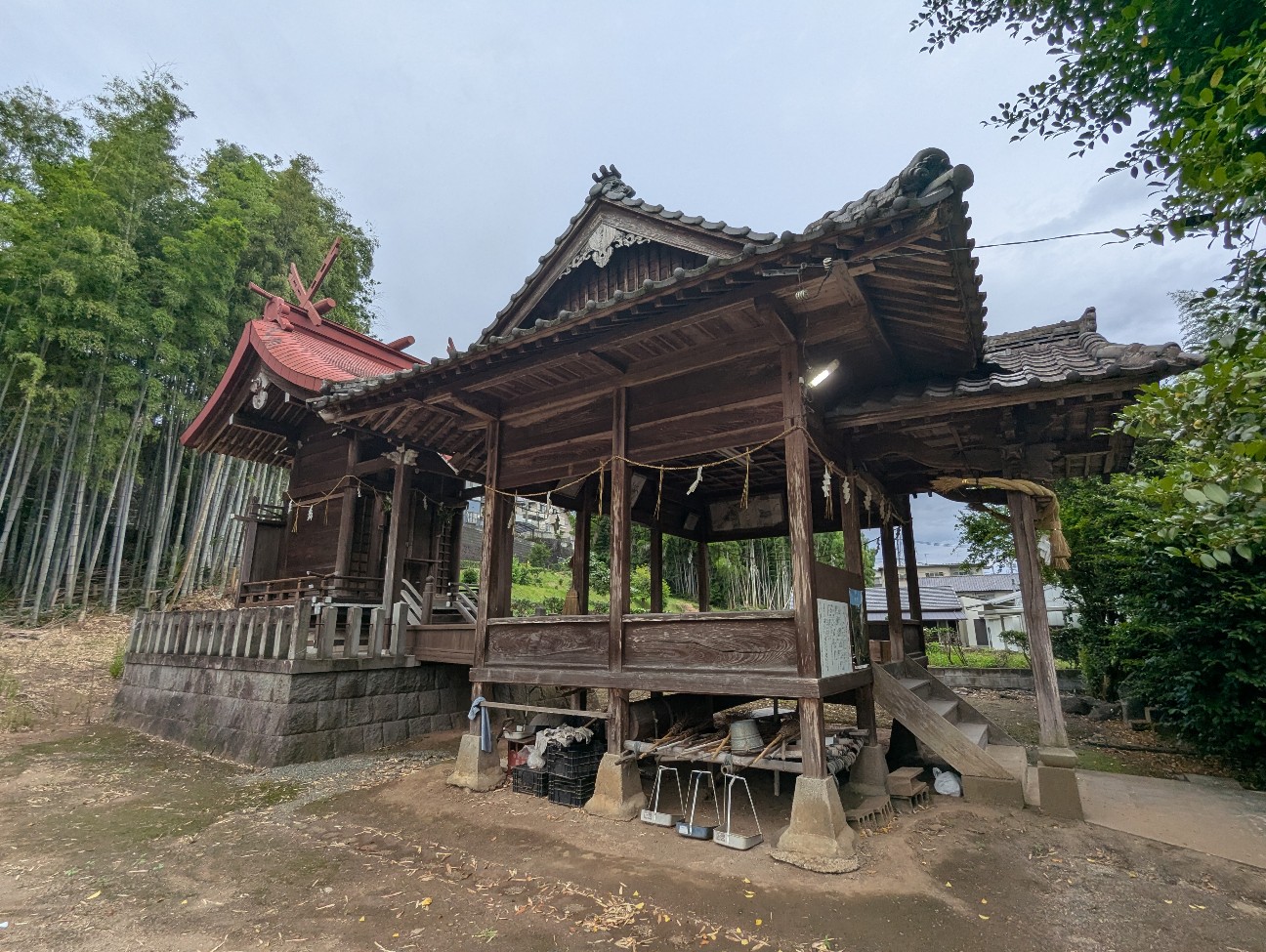 f:id:sansevieriak:20260606194317j:image