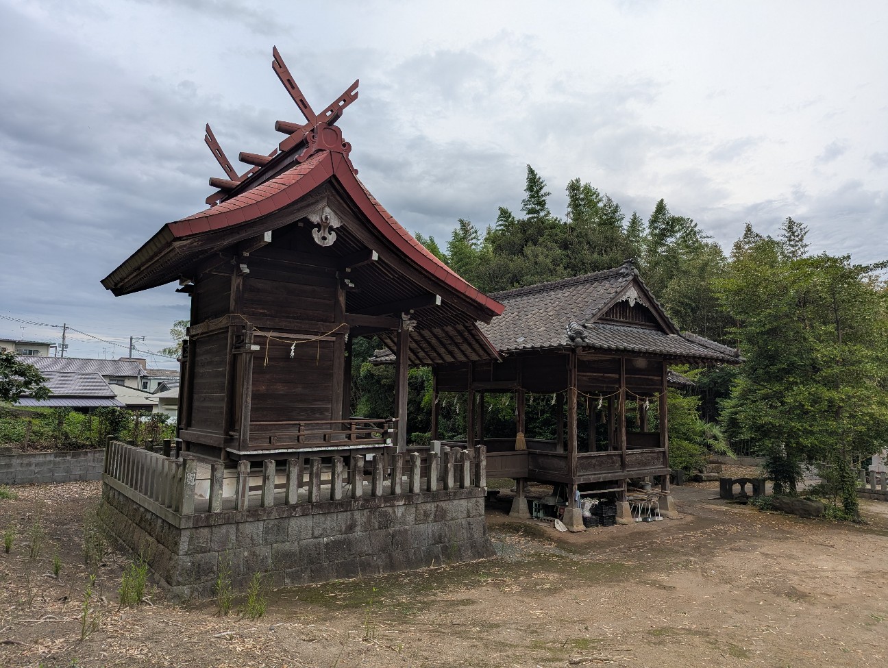 f:id:sansevieriak:20260606194329j:image