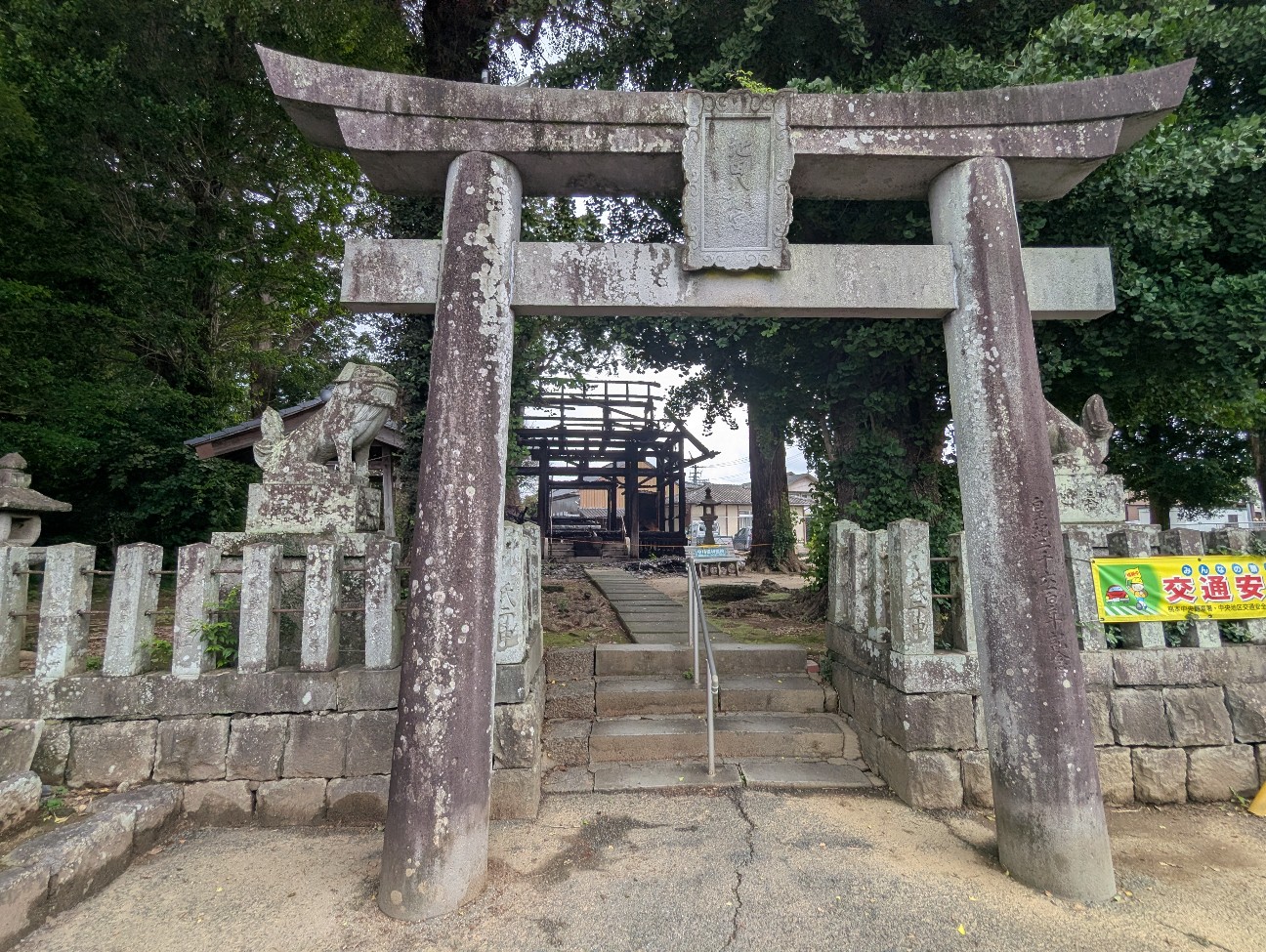 f:id:sansevieriak:20260628114553j:image
