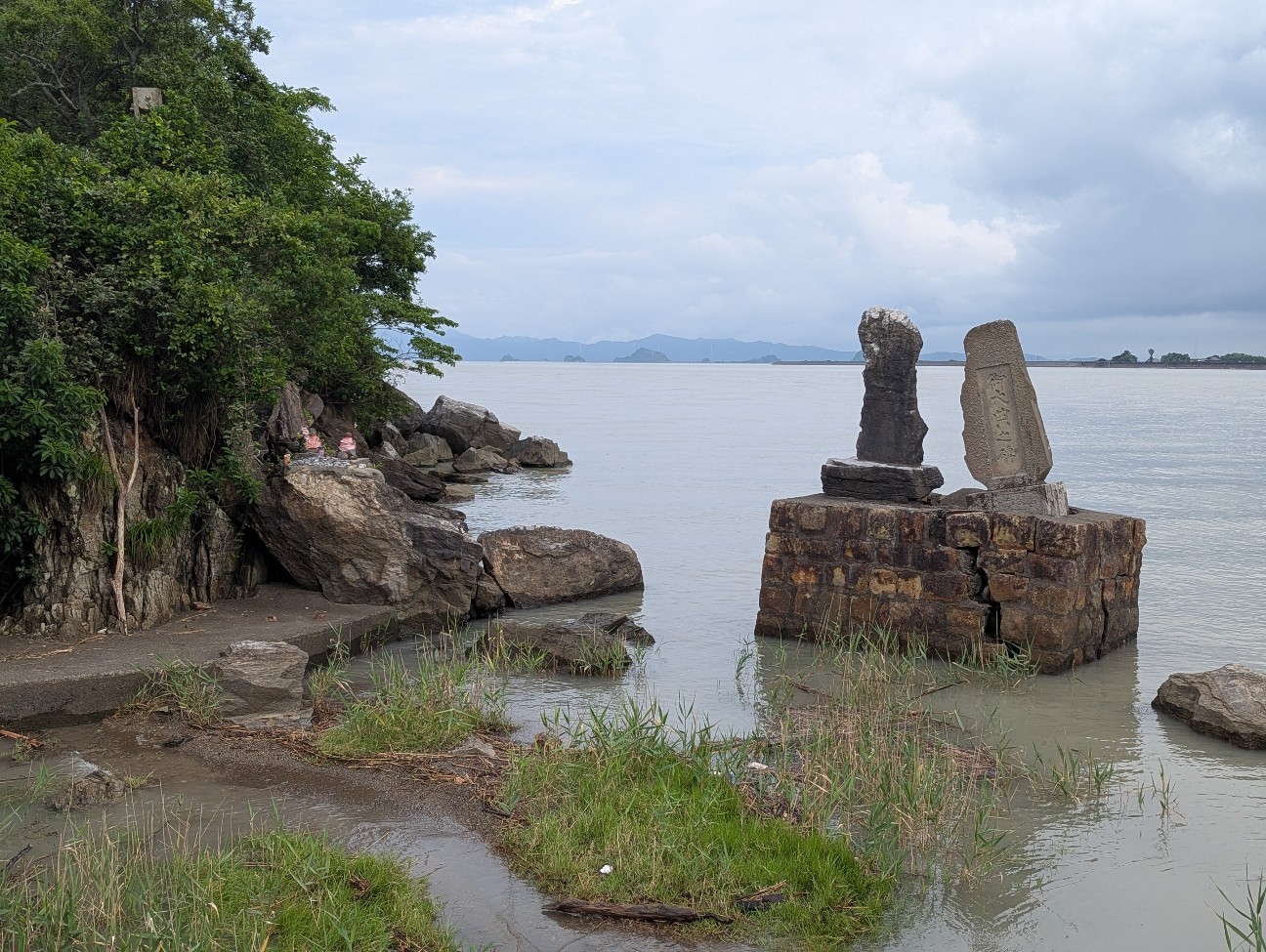 f:id:sansevieriak:20260628114556j:image