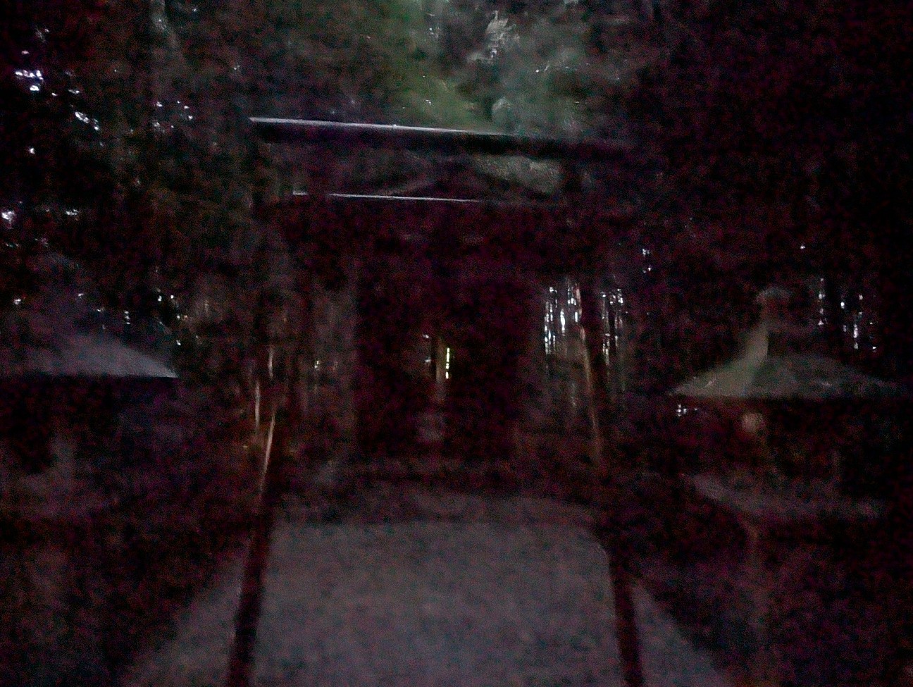 f:id:sansevieriak:20260703221517j:image