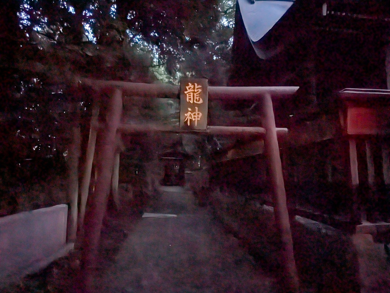 f:id:sansevieriak:20260703221518j:image