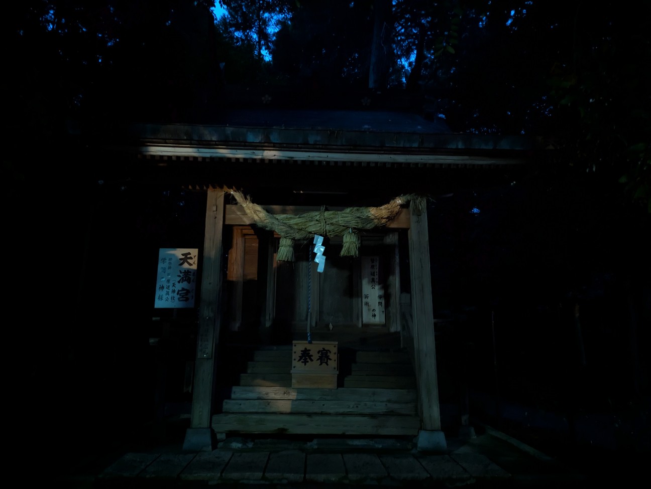 f:id:sansevieriak:20260703221524j:image
