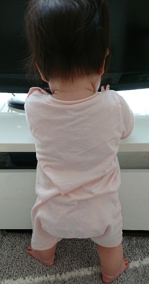 f:id:sanshimaimama:20200602110033j:plain