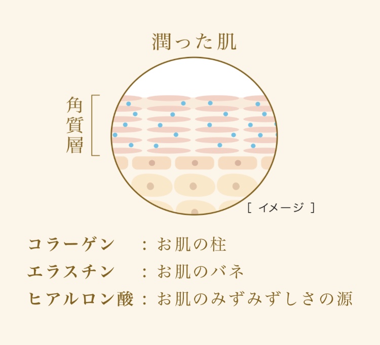 f:id:sanshinsu:20171024175750j:plain
