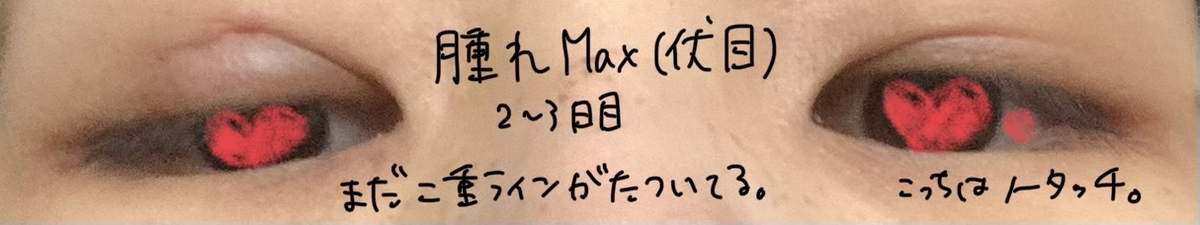 f:id:sanshouuuo:20210730164941j:plain