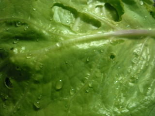 20110509192759