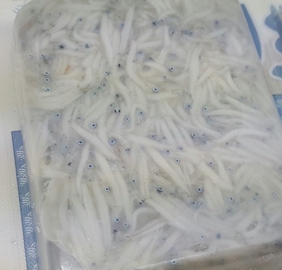 f:id:sansokunowarazi:20191221062138j:plain