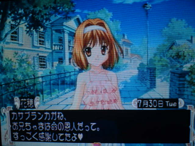 f:id:sansou:20091202033419j:image