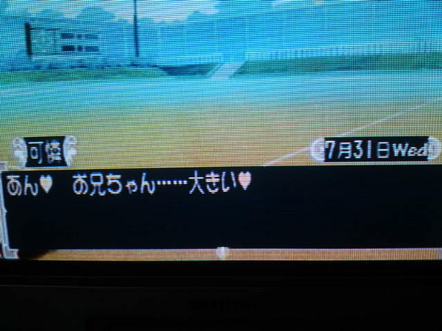 f:id:sansou:20091202033826j:image