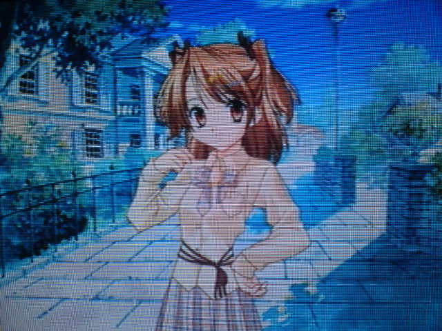 f:id:sansou:20091202034116j:image