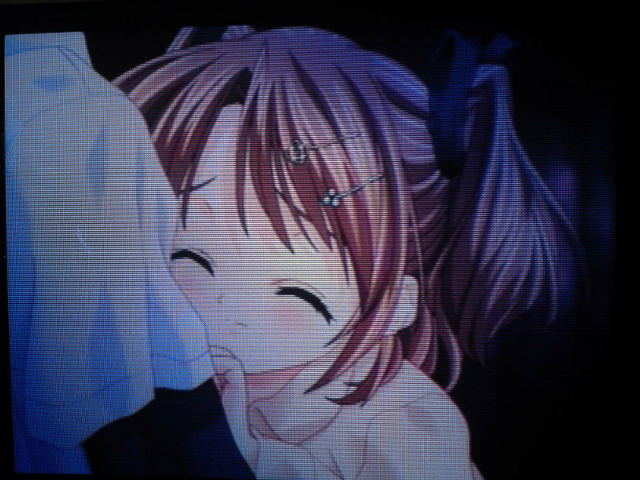 f:id:sansou:20091202034315j:image
