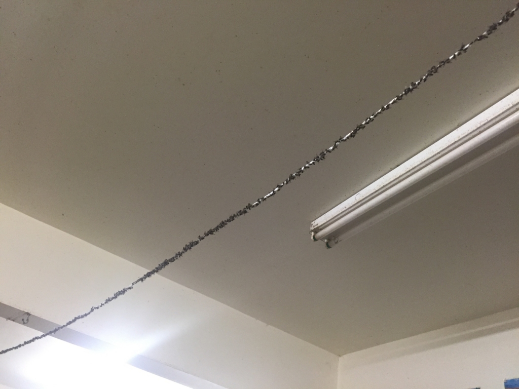 f:id:sansyokuu:20161206122227j:plain