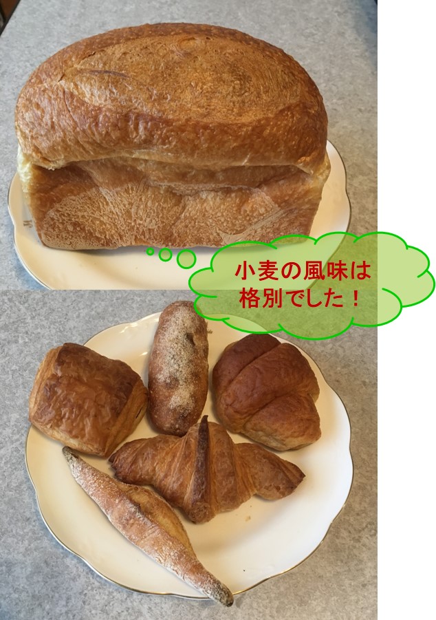 f:id:santa-baking:20190401222119j:plain