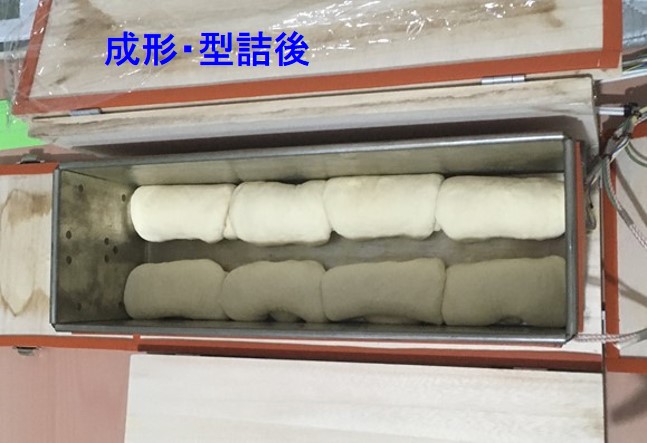 f:id:santa-baking:20200311131151j:plain