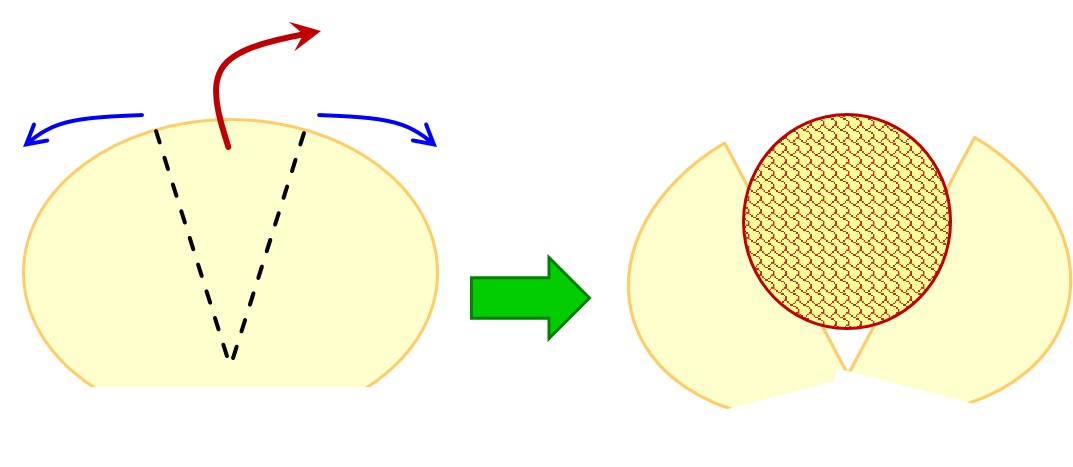 f:id:santa-baking:20200502221858j:plain f:id:santa-baking:20200502221858j:plain