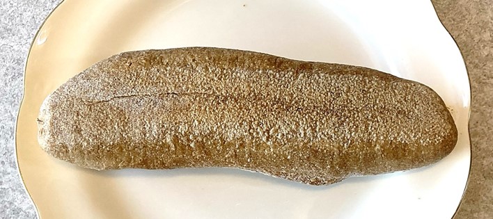 パスコ　コオロギ