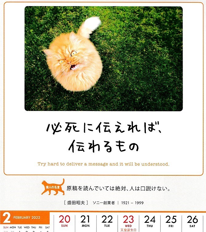 人生はニャンとかなる
