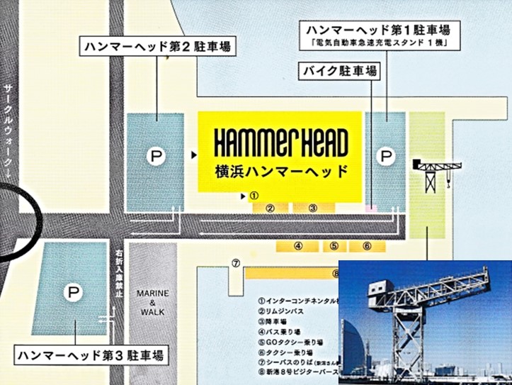 hammerhead