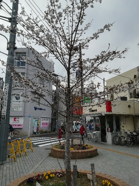 f:id:santafe666:20190327231643j:plain