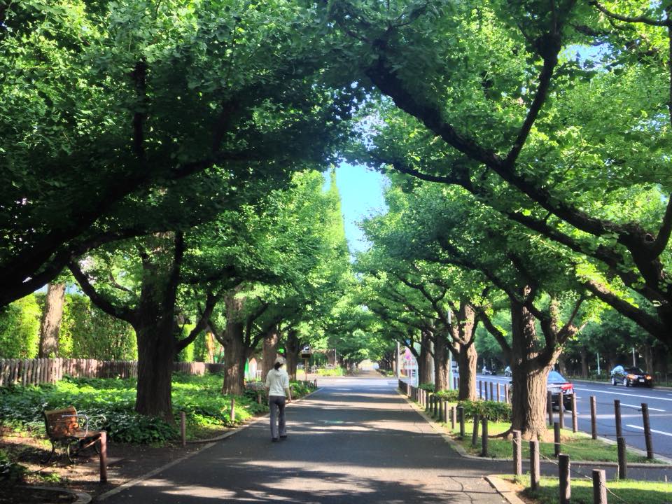 f:id:santambo:20160617073036j:plain