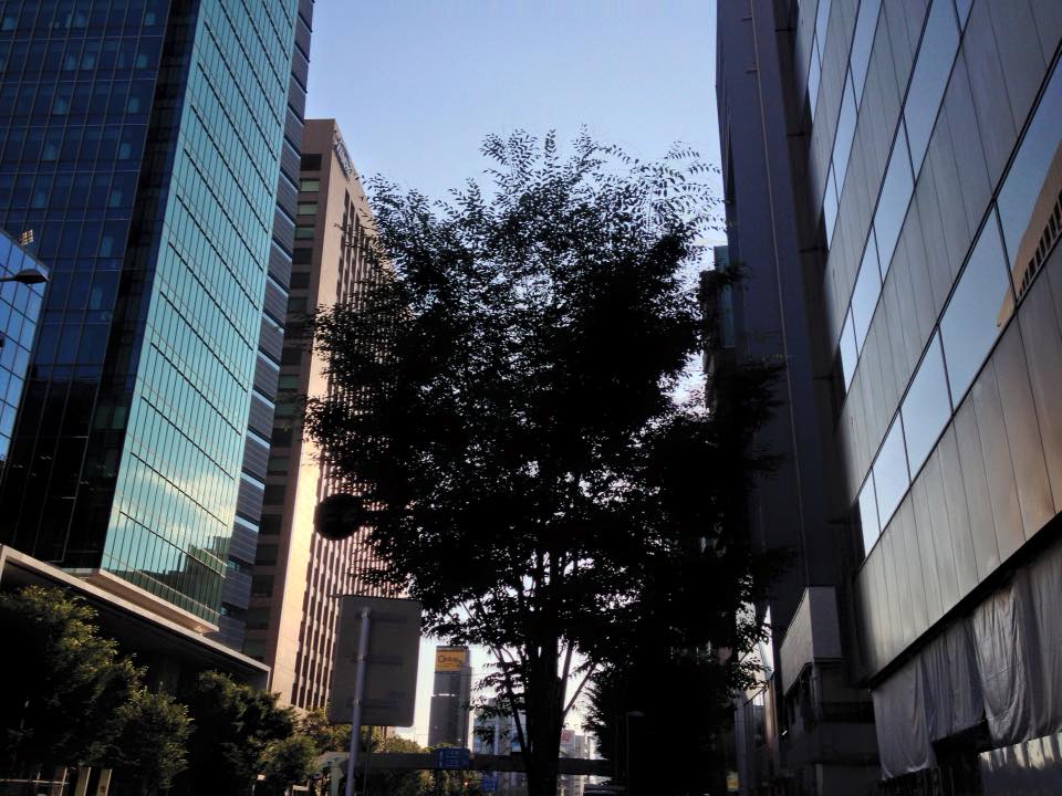 f:id:santambo:20160618072307j:plain