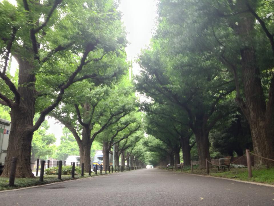 f:id:santambo:20160620072816j:plain