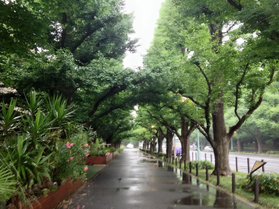 f:id:santambo:20160628073203j:plain