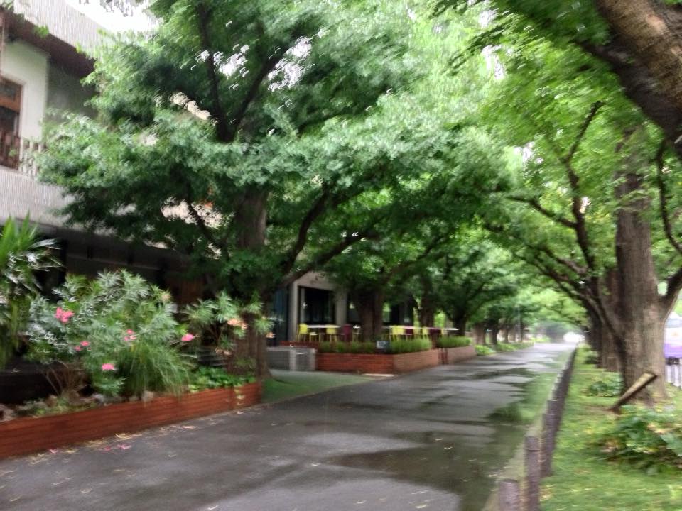 f:id:santambo:20160628073231j:plain