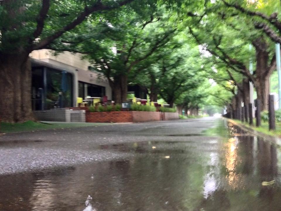 f:id:santambo:20160628073244j:plain