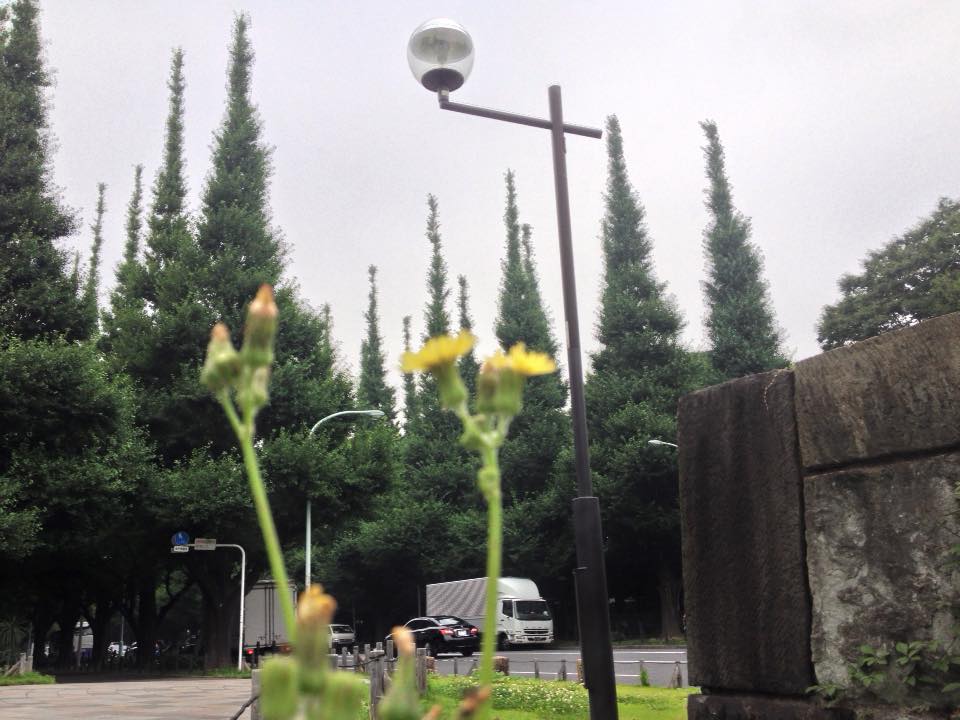 f:id:santambo:20160701073508j:plain