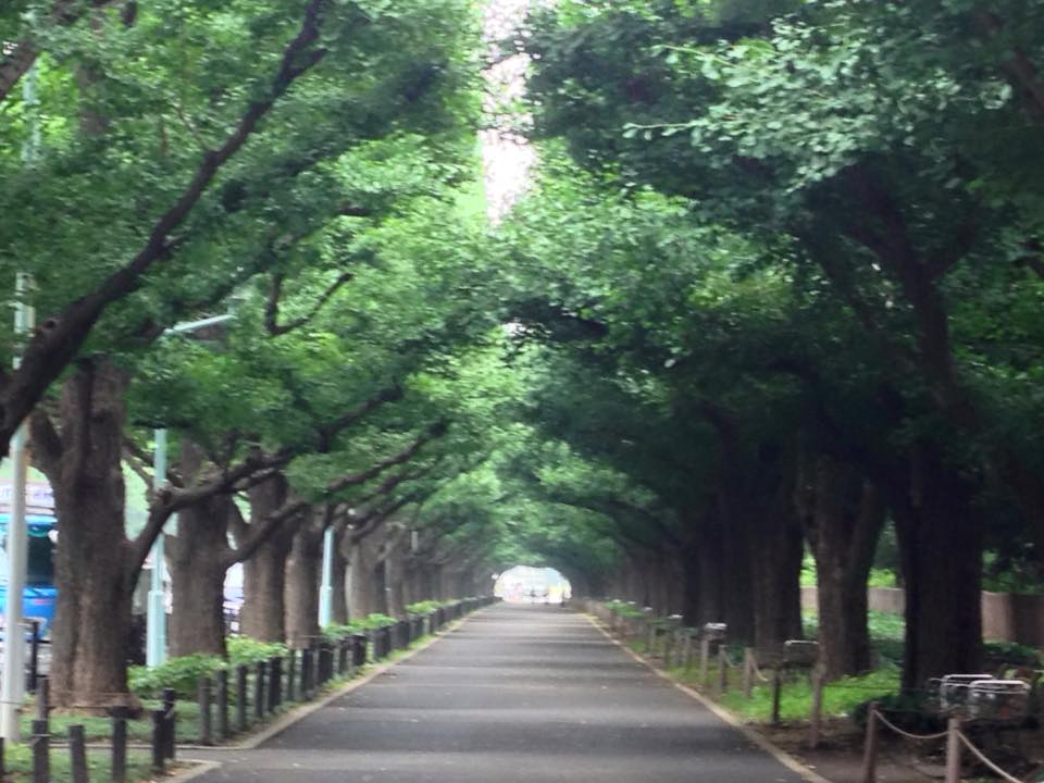 f:id:santambo:20160701073536j:plain