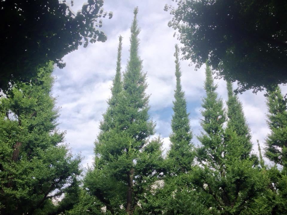 f:id:santambo:20160703072844j:plain