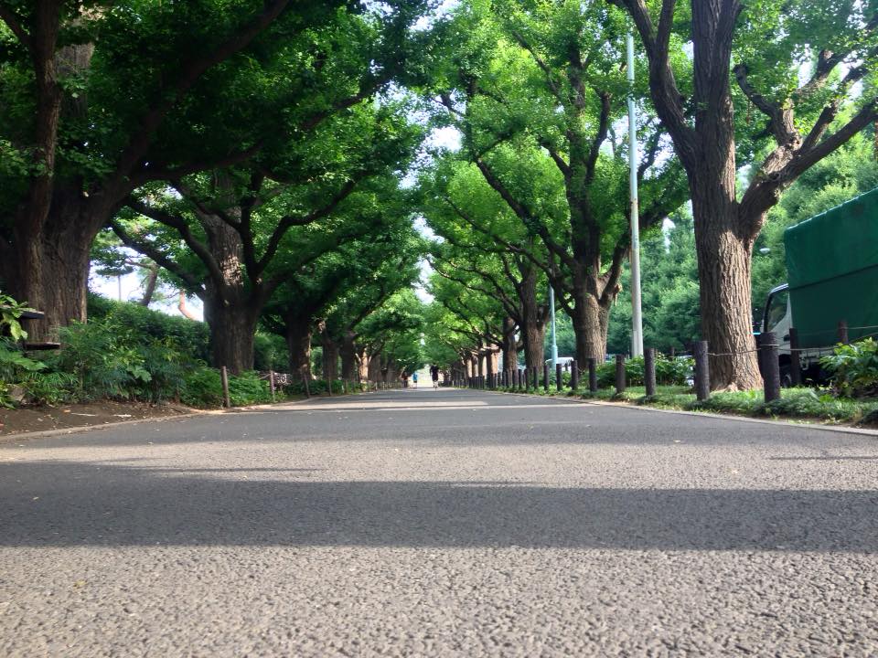 f:id:santambo:20160704072154j:plain