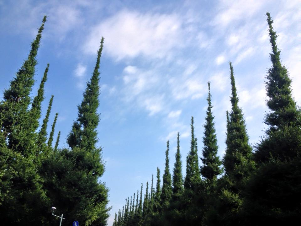 f:id:santambo:20160704072236j:plain