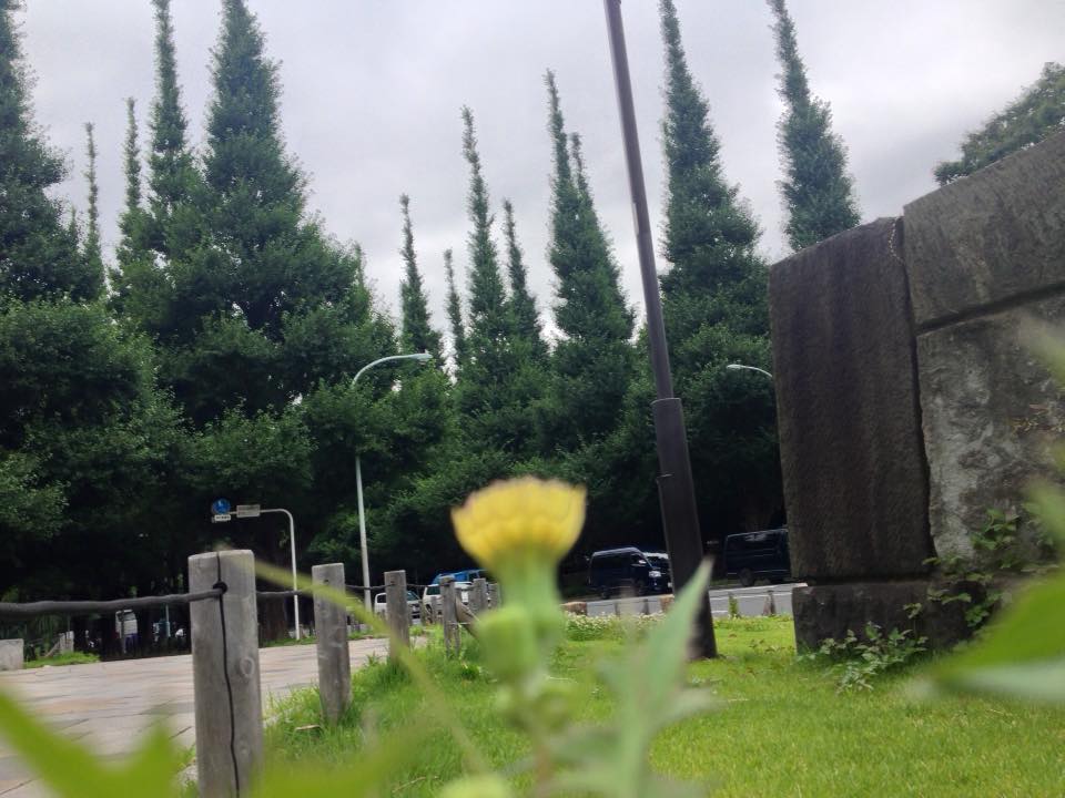 f:id:santambo:20160705065959j:plain