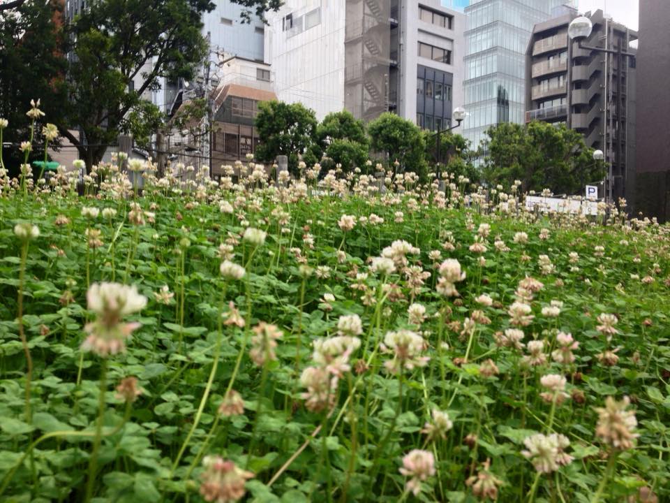 f:id:santambo:20160705070016j:plain