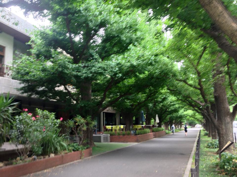 f:id:santambo:20160706072931j:plain