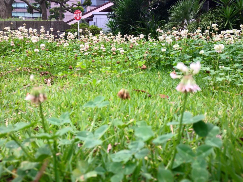 f:id:santambo:20160706072948j:plain