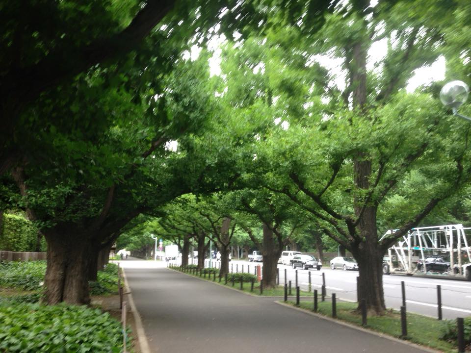 f:id:santambo:20160708073045j:plain f:id:santambo:20160708073045j:plain