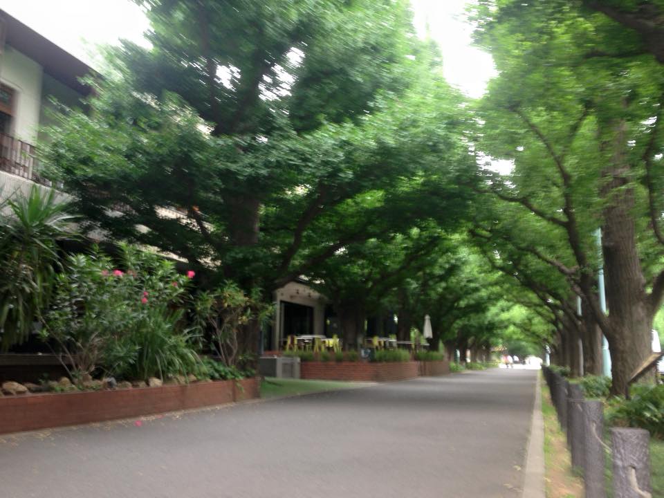 f:id:santambo:20160708073101j:plain f:id:santambo:20160708073101j:plain