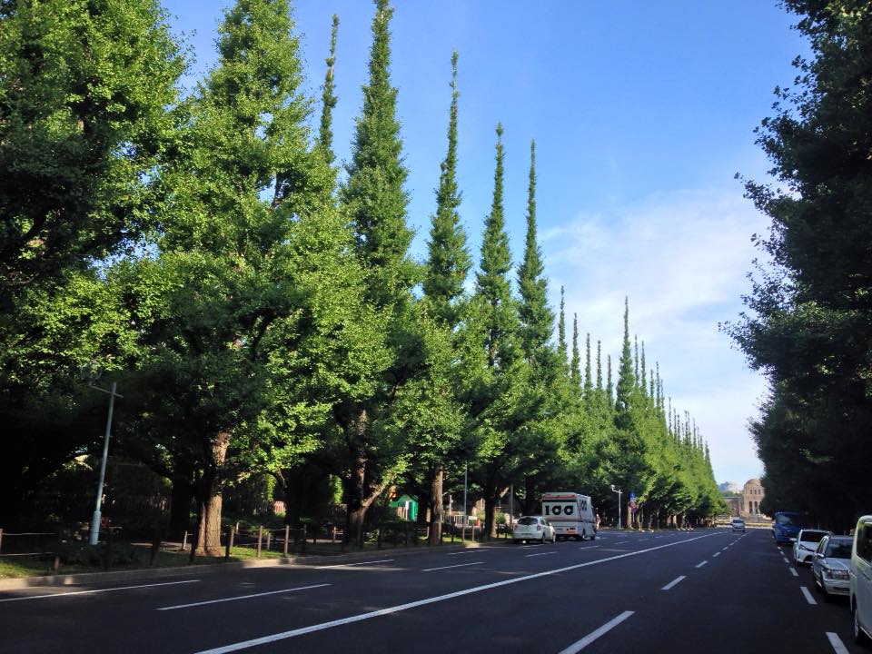 f:id:santambo:20160710072715j:plain