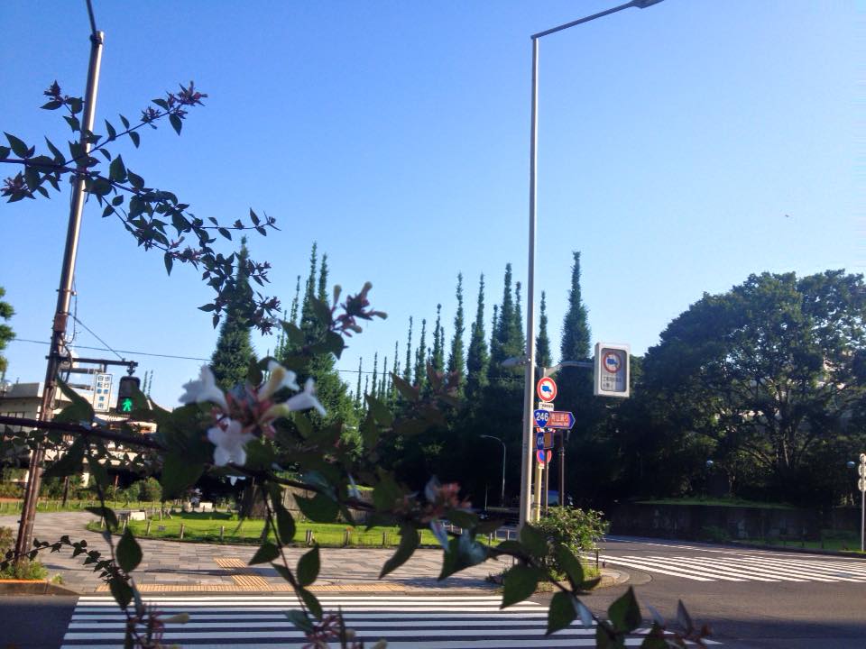 f:id:santambo:20160711072145j:plain