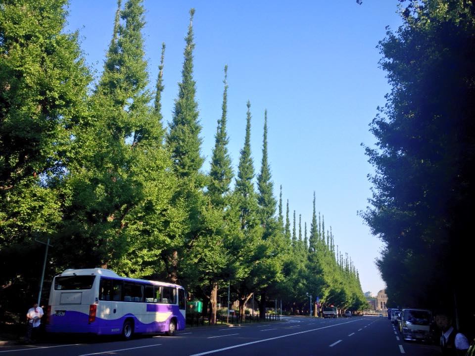 f:id:santambo:20160711072210j:plain