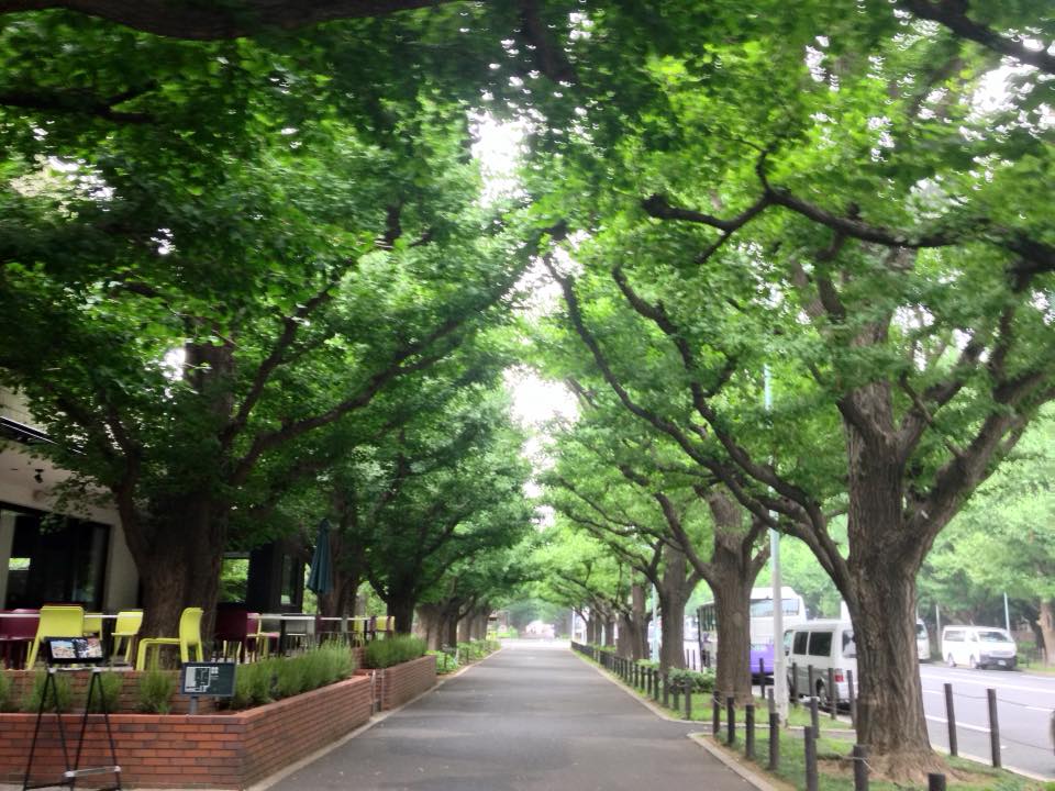 f:id:santambo:20160713065914j:plain