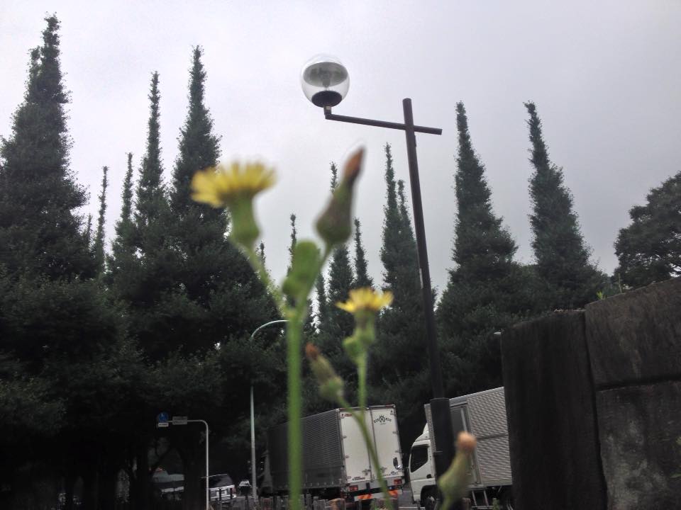 f:id:santambo:20160714073243j:plain